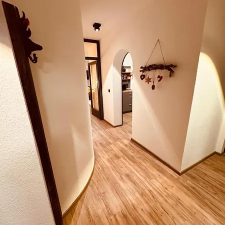 Baude Iv - Loewenbaude